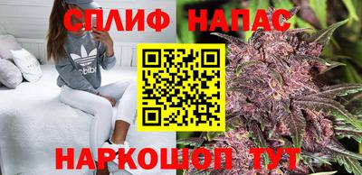 индика Бузулук