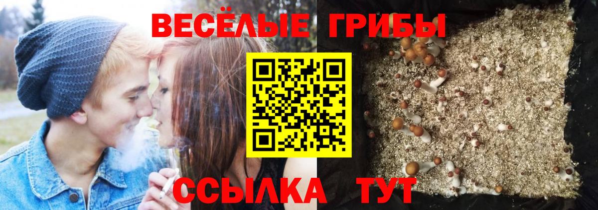 Галлюциногенные грибы Cubensis Сибай