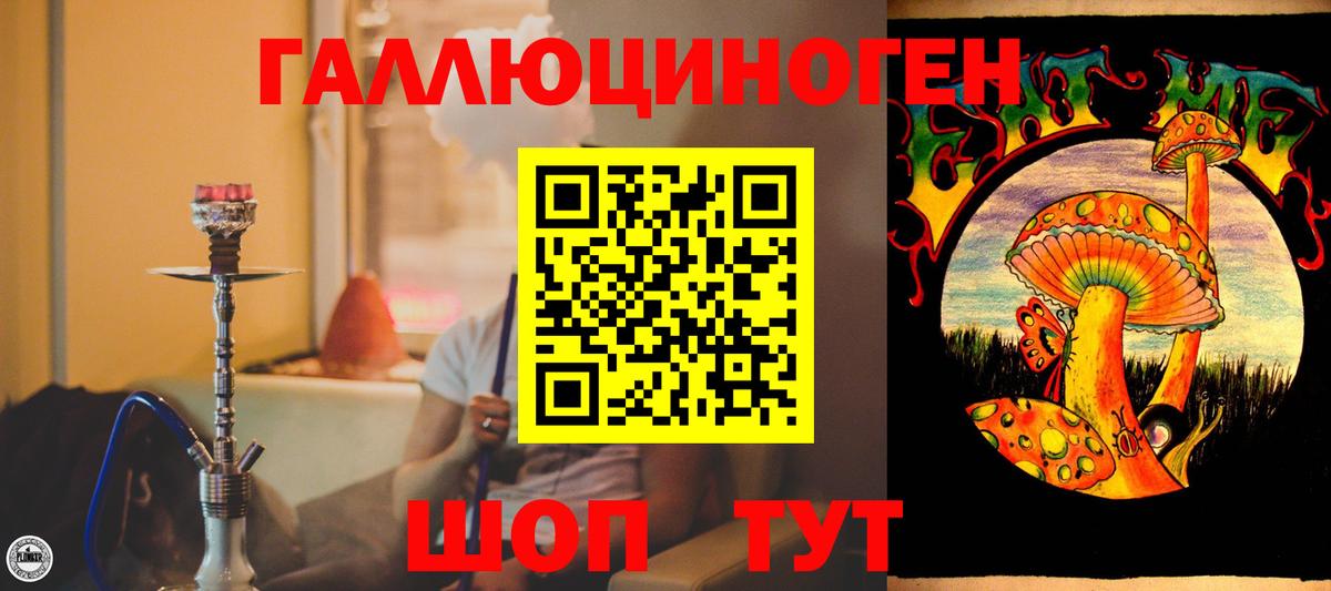 Сибай  Псилоцибиновые грибы Psilocybe  Псилоцибиновые грибы прущие грибы  Вход с VPN 